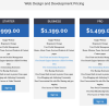 Web Design  And Development Pricing 